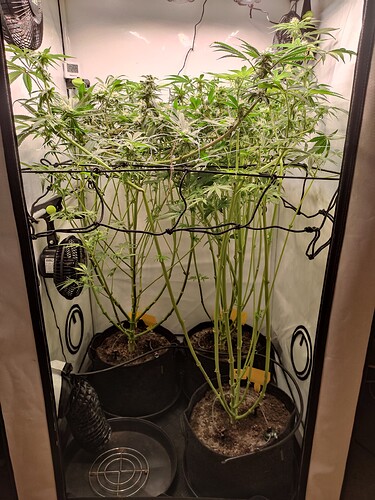 Growreport Bild 14
