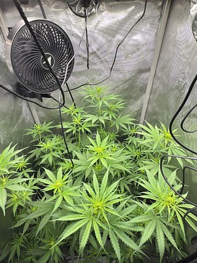 Growreport Bild 6