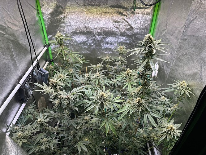 Growreport Bild 2