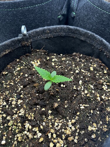 Growreport Bild 14
