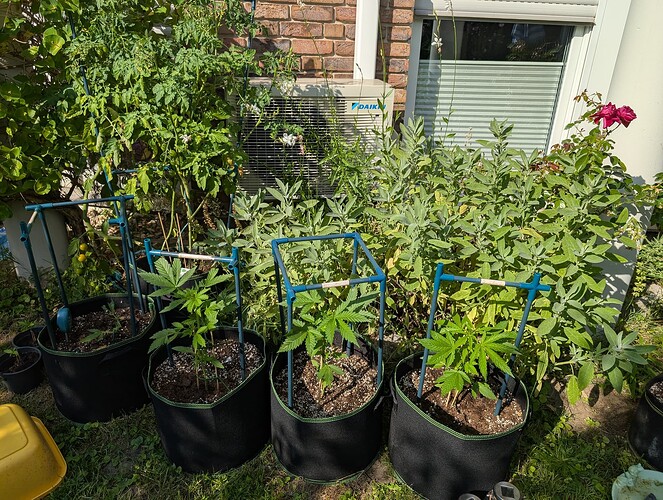 PXL_20250629_155612535.MP