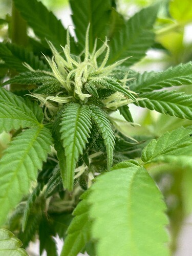 Growreport Bild 16