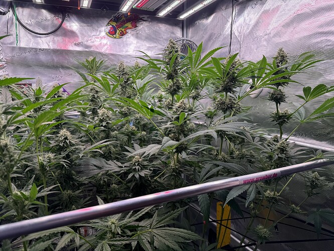Growreport Bild 7