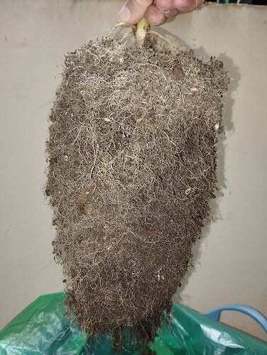 Growreport Bild 11
