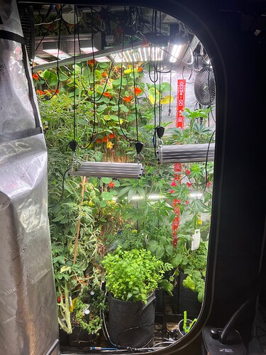 Growreport Bild 9