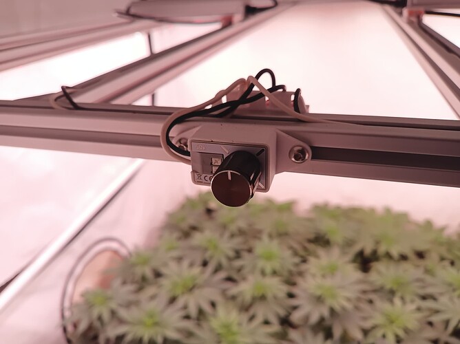 Growreport Bild 3