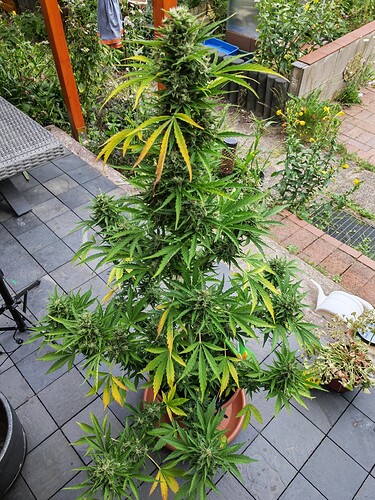 Growreport Bild 18