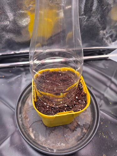 Growreport Bild 10