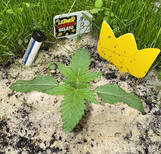 Growreport Bild 8