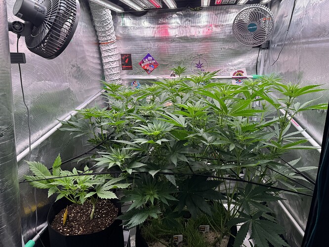 Growreport Bild 13