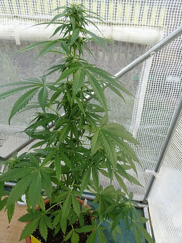 Growreport Bild 5