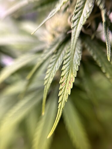 Growreport Bild 4