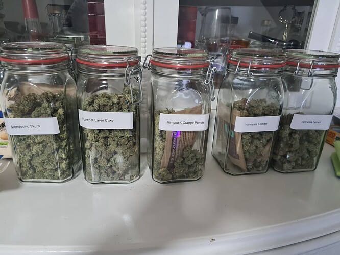 Growreport Bild 1