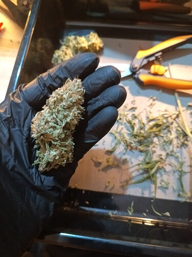 Growreport Bild 2
