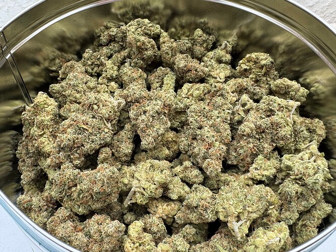 Growreport Bild 69
