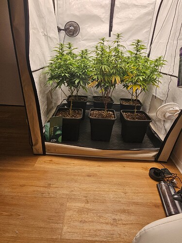 Growreport Bild 3