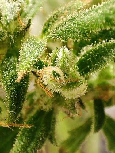 Growreport Bild 4