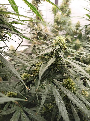 Growreport Bild 23