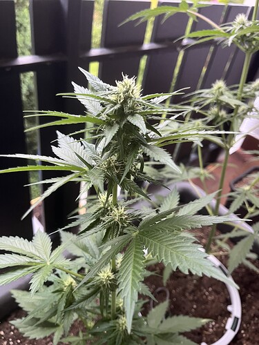 Growreport Bild 4
