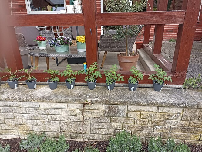 WhatsApp Bild 2025-04-21 um 13.00.58_8a836620