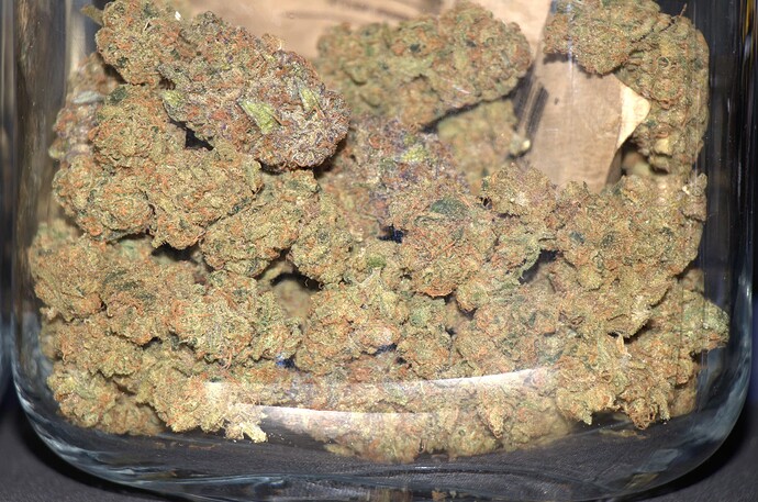 Growreport Bild 60