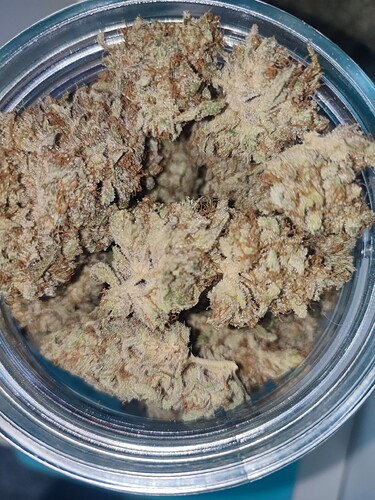 Growreport Bild 13