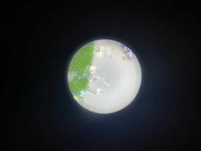 Growreport Bild 9