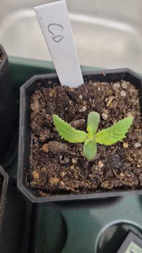 WhatsApp Image 2024-10-30 at 18.09.13