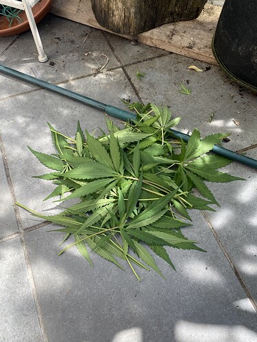 Growreport Bild 2