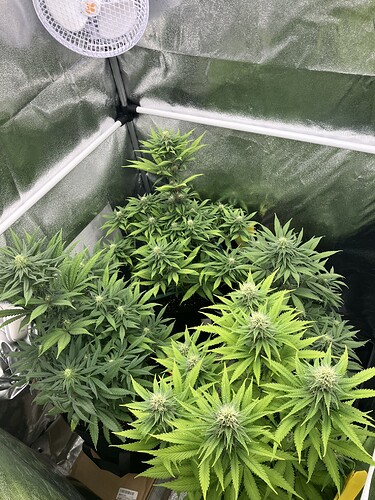 Growreport Bild 5
