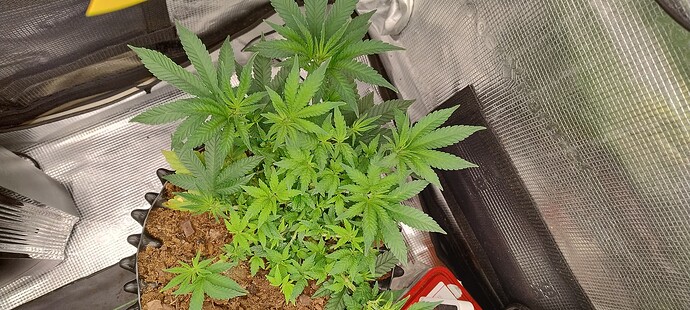 IMG_20251008_100916810_HDR