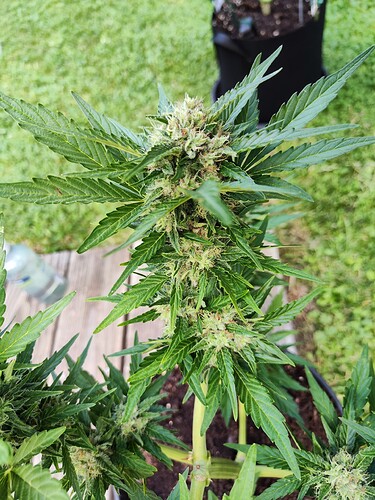 Growreport Bild 12