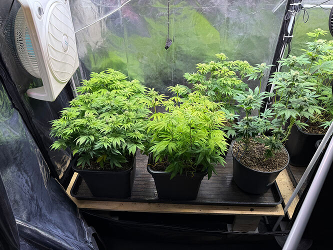 Growreport Bild 15