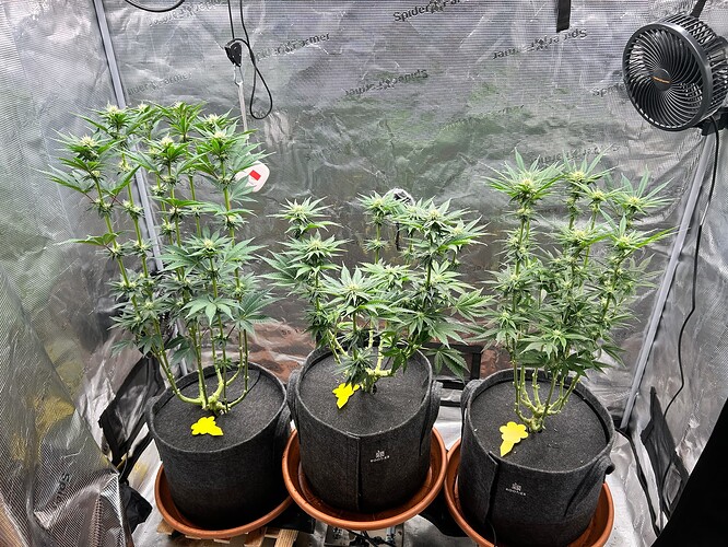 Growreport Bild 14
