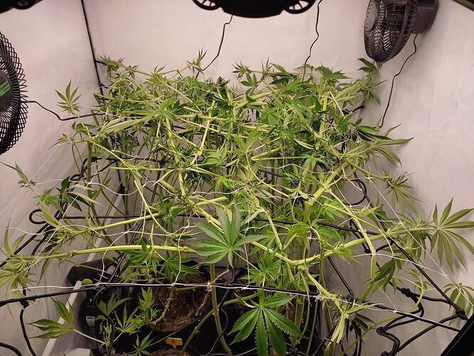 Growreport Bild 21