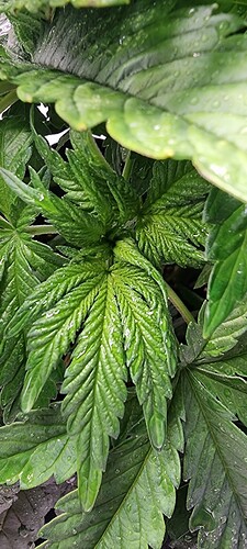 Growreport Bild 12
