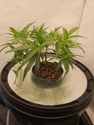 Growreport Bild 25
