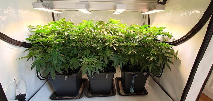 Growreport Bild 10