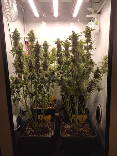 Growreport Bild 27