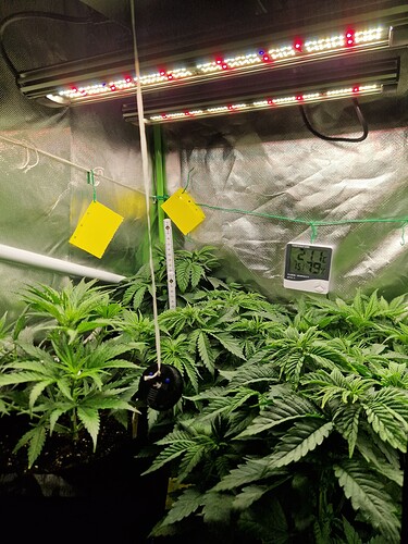 Growreport Bild 9