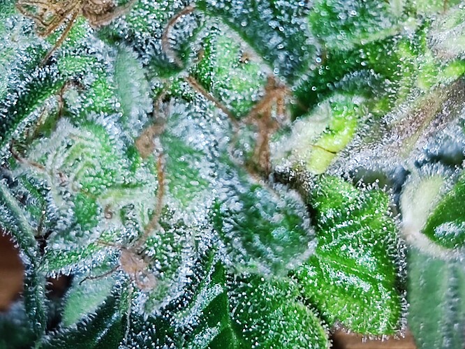 Growreport Bild 10