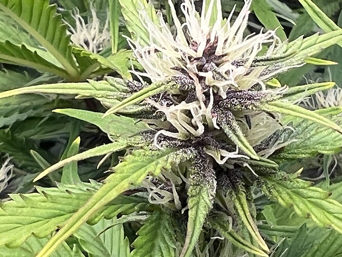 Growreport Bild 18
