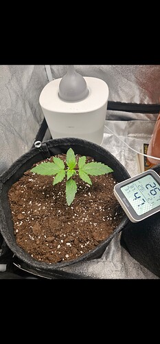Growreport Bild 3