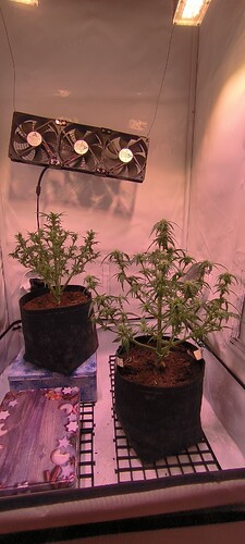Growreport Bild 22