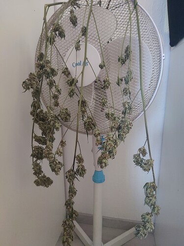 Growreport Bild 19