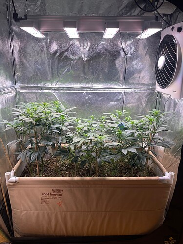 Growreport Bild 1