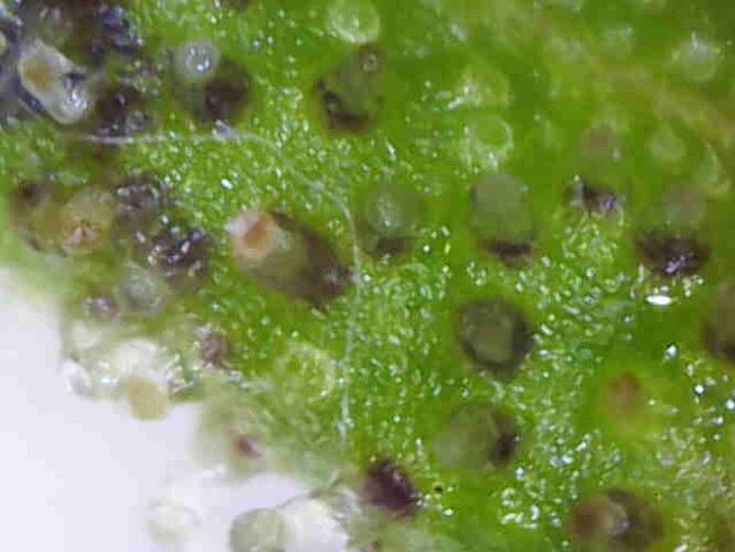 Photo_2024-09-25 18_12_52_359