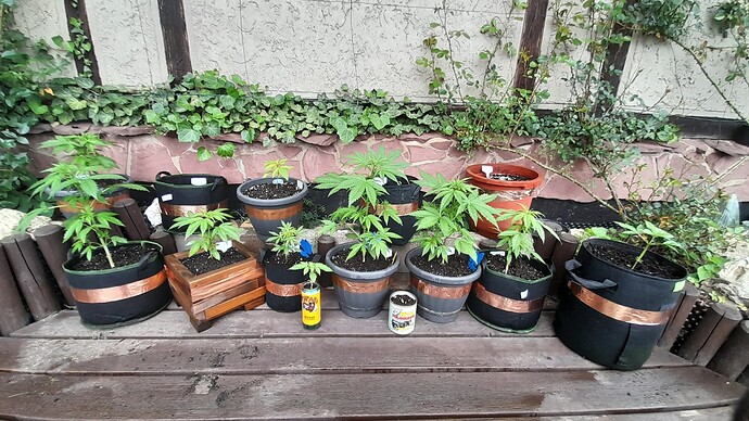 Growreport Bild 18