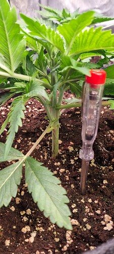 17320490468351844145818923243269