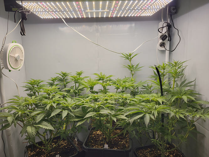 Growreport Bild 2